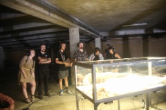 Cabinet de curiosite 2 * 5760 x 3840 * (7.42MB)